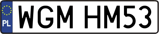WGMHM53