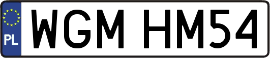 WGMHM54