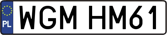 WGMHM61