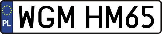 WGMHM65