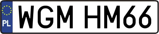 WGMHM66