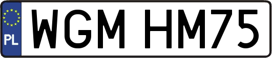 WGMHM75