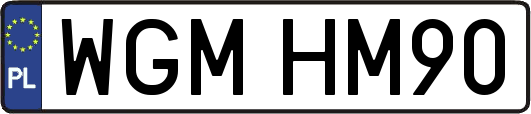 WGMHM90