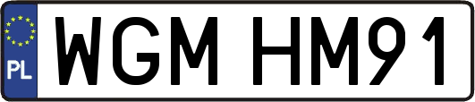 WGMHM91