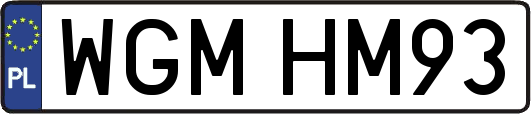 WGMHM93
