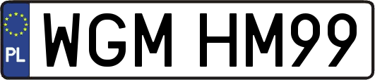 WGMHM99