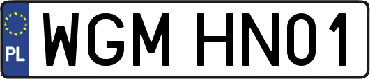 WGMHN01