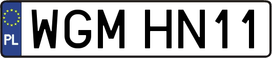 WGMHN11