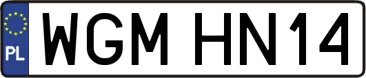 WGMHN14