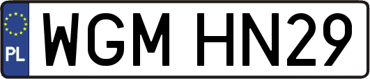 WGMHN29