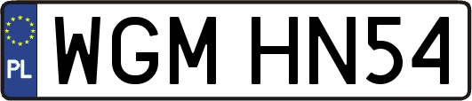 WGMHN54