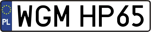 WGMHP65