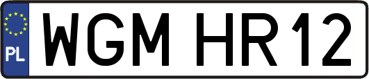 WGMHR12