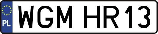 WGMHR13