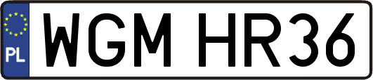 WGMHR36