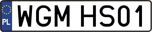 WGMHS01