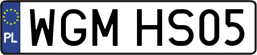 WGMHS05