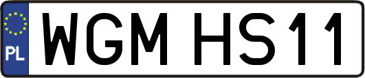 WGMHS11