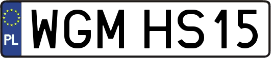 WGMHS15