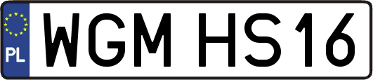 WGMHS16