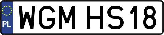 WGMHS18
