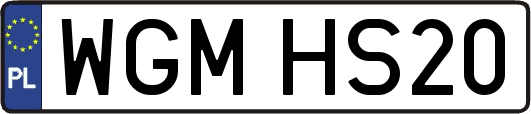 WGMHS20