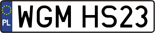 WGMHS23