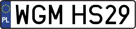 WGMHS29