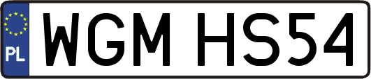 WGMHS54