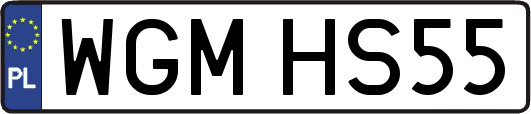 WGMHS55