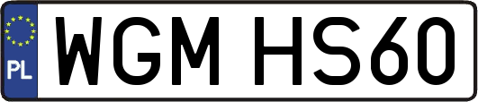 WGMHS60