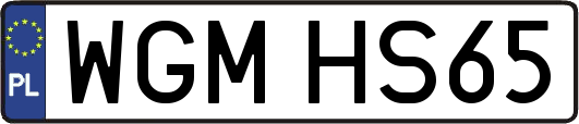WGMHS65