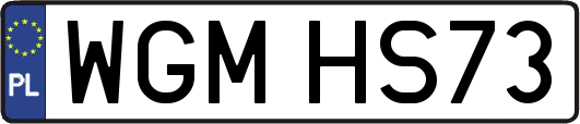 WGMHS73