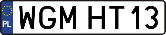 WGMHT13
