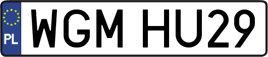 WGMHU29