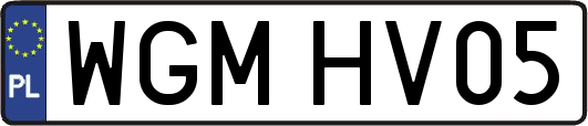 WGMHV05