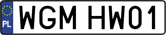 WGMHW01