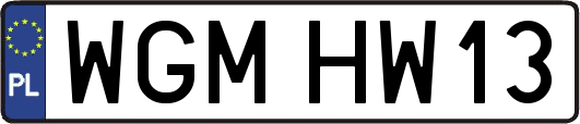 WGMHW13