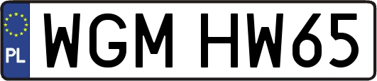 WGMHW65