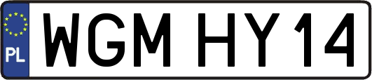 WGMHY14