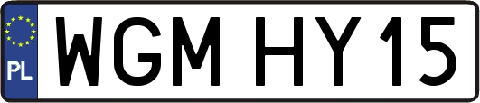 WGMHY15