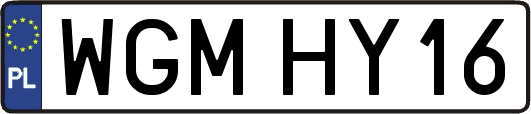 WGMHY16