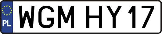 WGMHY17