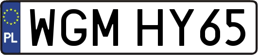 WGMHY65