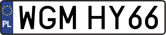 WGMHY66