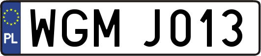 WGMJ013