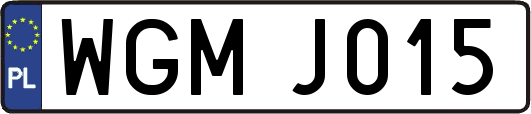 WGMJ015
