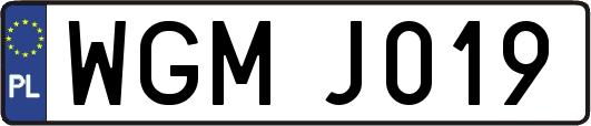 WGMJ019