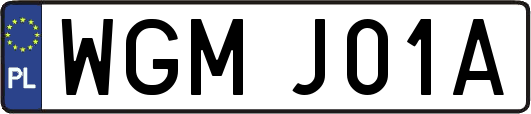 WGMJ01A