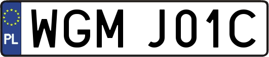 WGMJ01C
